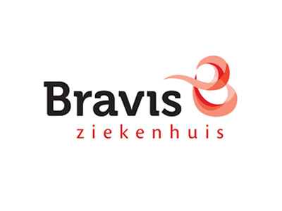 logo13-bravis-1